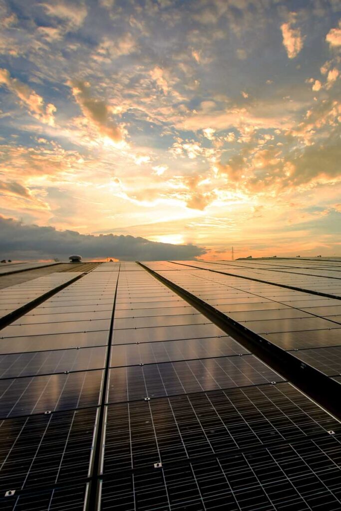 solar panels in a field