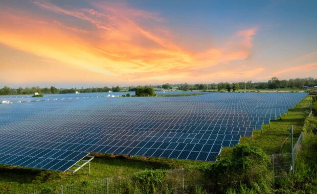 Solar Farm with sunset