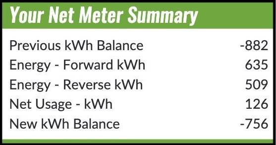 example of a net meter summary chart on a homeowner's solar bill